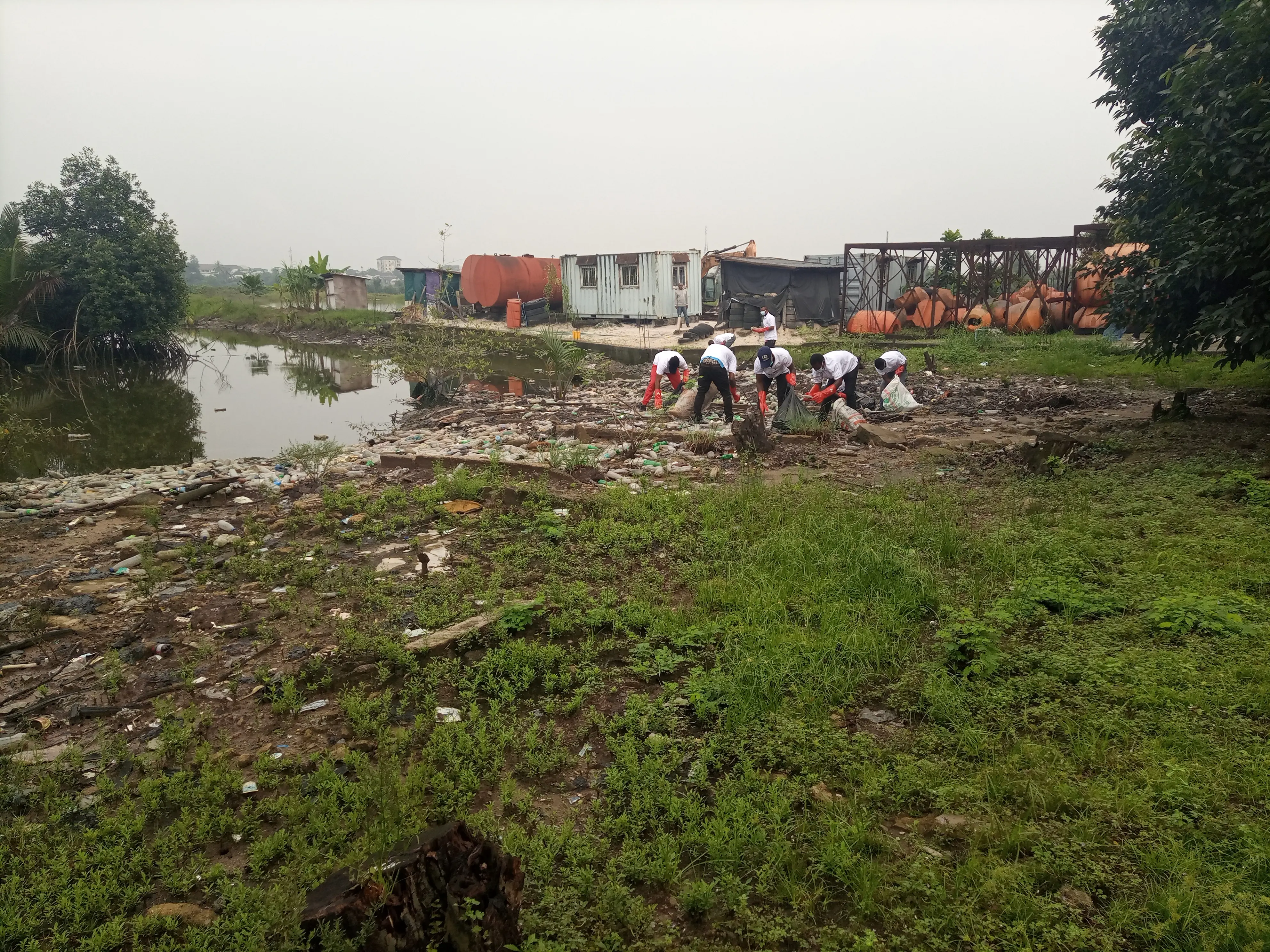 Cleaner Earth Associates International Limited coastal restoration project showcasing advanced shoreline stabilization techniques protecting vulnerable ecosystems in Niger Delta